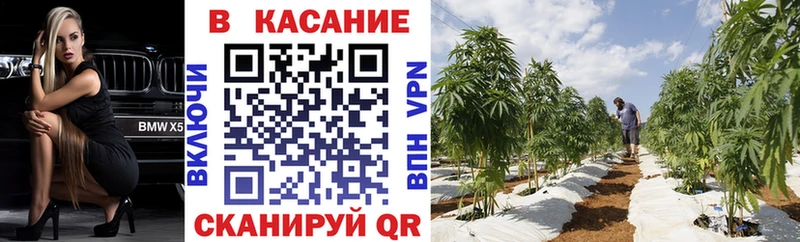 Купить закладку АМФЕТАМИН  Меф  Alpha-PVP  Мамоново