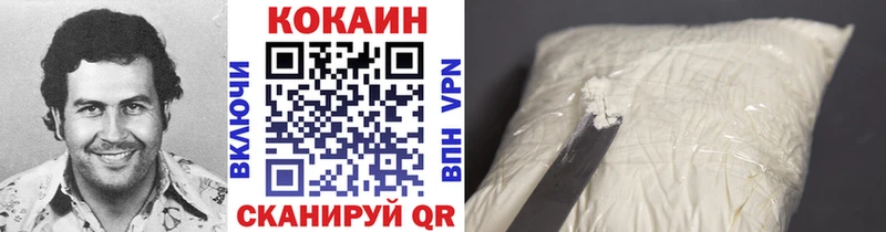 Cocaine Fish Scale  Купить закладки  Мамоново 