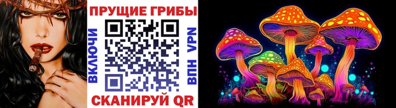 Галлюциногенные грибы Cubensis  Купить  Мамоново 